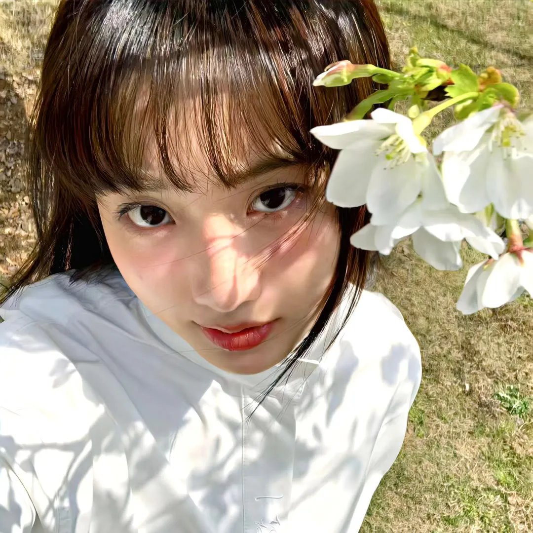 摇曳百合 十周年特别篇